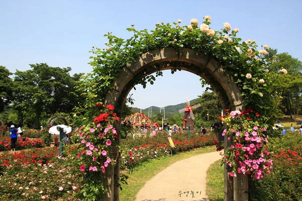 Lễ hội hoa hồng ở Seoul Grand Park 