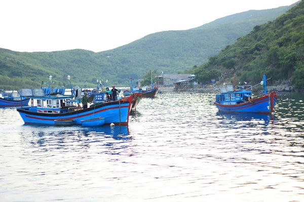 Sáng sớm, những cuộc mưu sinh lấp đi nỗi lo cơm, áo, gạo, tiền bắt đầu nơi xã đảo Bích Đầm - Ảnh: Bông Mai Sáng sớm, những cuộc mưu sinh lấp đi nỗi lo cơm, áo, gạo, tiền bắt đầu nơi xã đảo Bích Đầm - Ảnh: Bông Mai