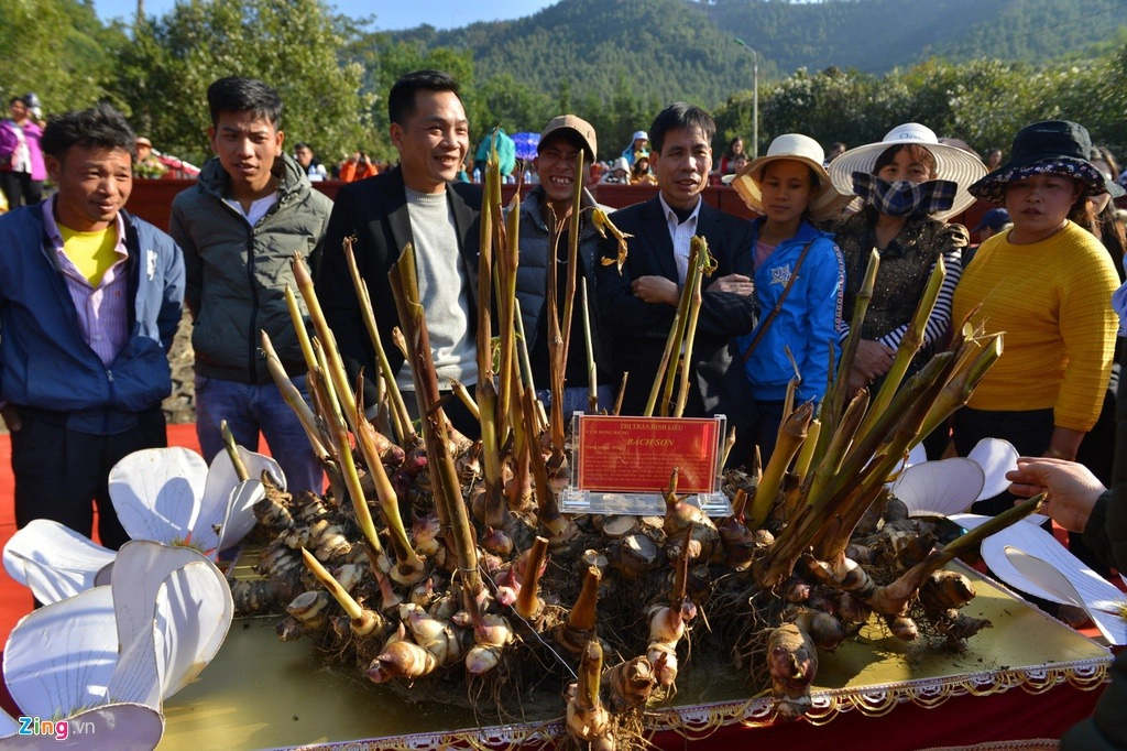 ve-binh-lieu-ngam-hoa-so-phu-trang-trien-doi-ivivu-8