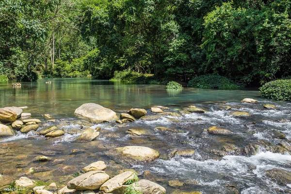 Dòng nước suối chảy hiền hòa, sạch trong khiến ta có thể nhìn rõ đáy với từng đàn cá nhởn nhơ bội lội.