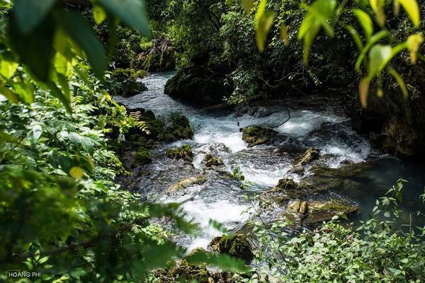 Hàng cây cổ thụ hai bên dòng cũng vươn mình soi bóng xuống mặt nước, tạo nên khung cảnh yên ả, thanh bình.