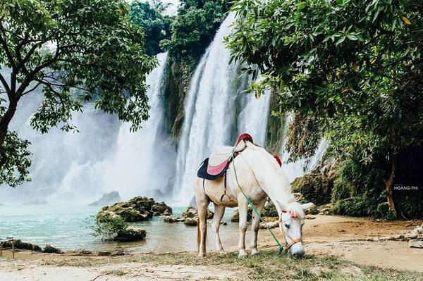 Hai bên bờ là những thảm cỏ, vạt rừng xanh ngắt với những chú ngựa thong dong gặm cỏ.