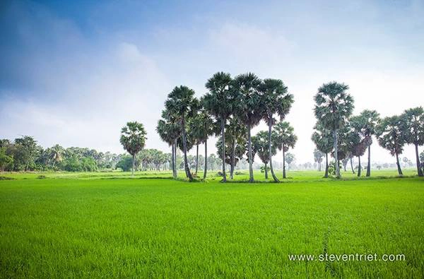Tiếp đó cũng trên cung đường này, bạn sẽ có dịp khám phá rừng tràm Trà Sư ngập nước. Tiếp đó cũng trên cung đường này, bạn sẽ có dịp khám phá rừng tràm Trà Sư ngập nước.