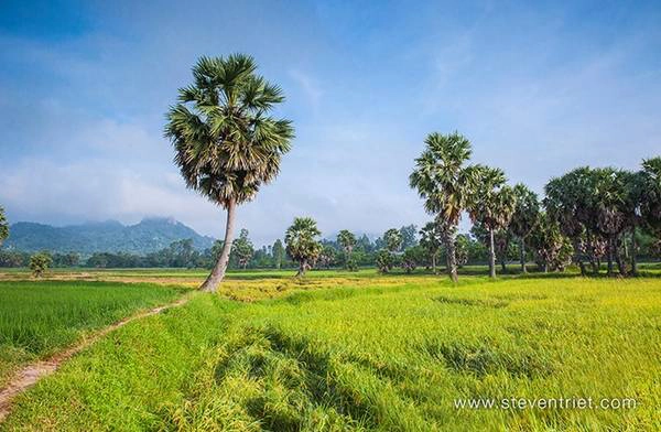 Bức tranh tương phản màu sắc tuyệt đẹp. Bức tranh tương phản màu sắc tuyệt đẹp.