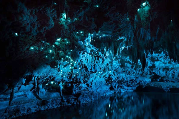 Hiện tại, hang đom đóm do chính quyền địa phương tiếp quản. Hiện tại, hang đom đóm do chính quyền địa phương tiếp quản.