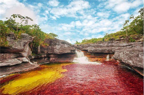 Du lịch Columbia - Sông Caño Cristales, Columbia.