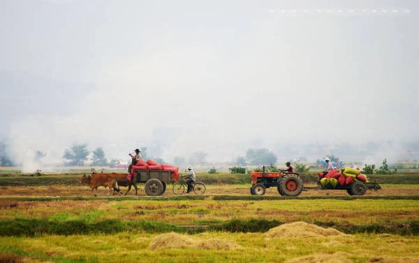 <strong>Bình Dương: </strong> Trong ký ức của tác giả, ngoài vẻ năng động, hiện đại ở các khu công nghiệp, Bình Dương còn hiện lên với sự trù phú qua những cánh đồng mùa gặt. Người nông dân lúc vào vụ thường tất bật từ sáng đến tối, họ gặt lúa xong sẽ vò và đóng bao mang về nhà phơi.