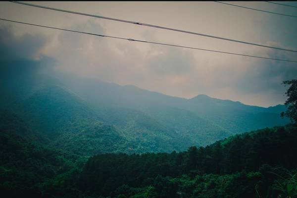 Vườn quốc gia Tam Đảo là một địa điểm nghỉ mát tuyệt vời trong những ngày hè oi ả. Hãy đến và cảm nhận vẻ đẹp như cổ tích của khu rừng nguyên sinh bồng bềnh mây phủ. Vườn quốc gia Tam Đảo là một địa điểm nghỉ mát tuyệt vời trong những ngày hè oi ả. Hãy đến và cảm nhận vẻ đẹp như cổ tích của khu rừng nguyên sinh bồng bềnh mây phủ.