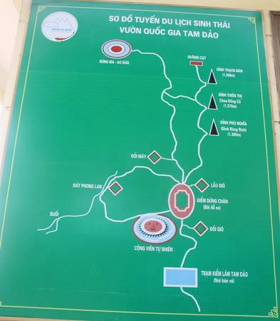 Từ đây bạn có thể chọn nhiều hành trình khám phá, như leo 3 đỉnh núi Tam Đảo, thăm Công viên tự nhiên, rừng Đát Phong Lan, Đồi Mây, rừng Ma - Ao Dứa… Từ đây bạn có thể chọn nhiều hành trình khám phá, như leo 3 đỉnh núi Tam Đảo, thăm Công viên tự nhiên, rừng Đát Phong Lan, Đồi Mây, rừng Ma - Ao Dứa…