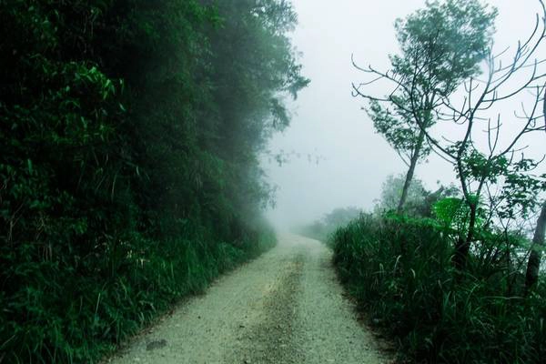 Đường vào rừng khá khó đi. Tuy nhiên khung cảnh vô cùng hoang sơ, yên tĩnh, quanh năm mây mù bao phủ. Đường vào rừng khá khó đi. Tuy nhiên khung cảnh vô cùng hoang sơ, yên tĩnh, quanh năm mây mù bao phủ.
