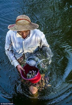Mục tiêu của David là chụp được những bức ảnh có hồn nhất về tất cả những người mà anh bắt gặp. Mục tiêu của David là chụp được những bức ảnh có hồn nhất về tất cả những người mà anh bắt gặp.