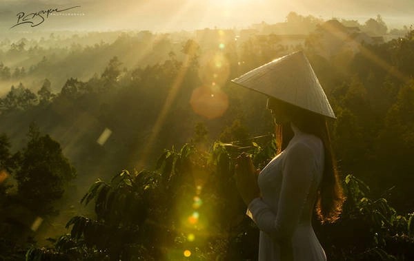Tác phẩm Visions of Vietnam (Viễn cảnh Việt Nam). Tác phẩm Visions of Vietnam (Viễn cảnh Việt Nam).