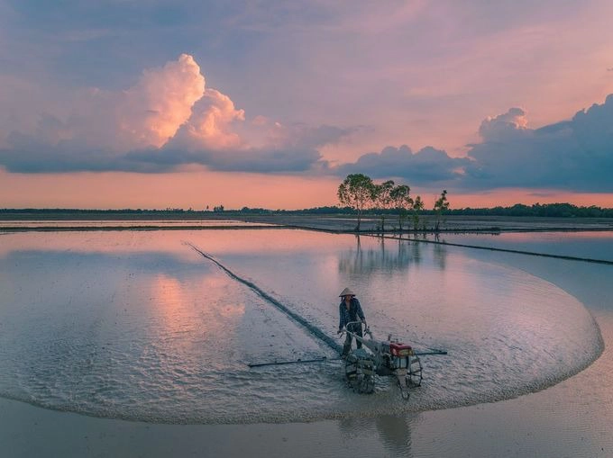 Nông dân cày ruộng chuẩn bị cho mùa vụ mới tại Mộc Hóa. Tháng 7 nước nhảy khỏi bờ” là cách nói của người miền Tây về mùa nước nổi, khi dòng lũ nặng phù sa từ thượng nguồn đổ ngập ruộng đồng.