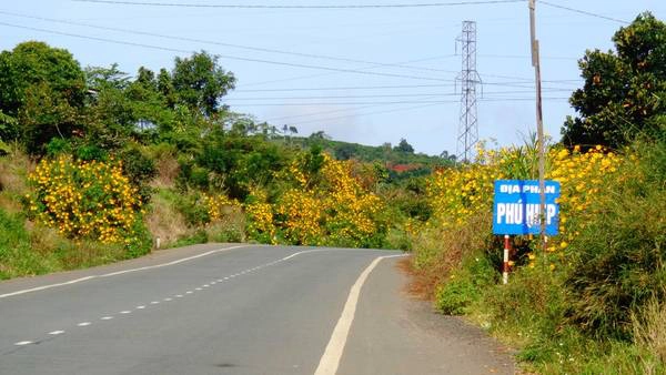 Những năm gần đây, mỗi khi mùa dã quỳ đến, dân phượt hay rỉ tai nhau về những địa điểm săn hoa, và đèo Phú Hiệp của Di Linh là một trong những nơi được nhắc đến như một điểm không thể bỏ qua. Những năm gần đây, mỗi khi mùa dã quỳ đến, dân phượt hay rỉ tai nhau về những địa điểm săn hoa, và đèo Phú Hiệp của Di Linh là một trong những nơi được nhắc đến như một điểm không thể bỏ qua.