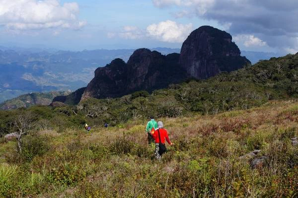 Tháng 12 cũng là thời điểm được nhiều bạn trẻ lựa chọn cho mình hành trình trekking chinh phục đỉnh Pha Luông, vốn được coi là nóc nhà tự nhiên của Mộc Châu. Rừng quốc gia Xuân Nha thời gian này cũng là mùa cây phong trút thảm lá, một hiện tượng thiên nhiên hiếm gặp tại Việt Nam. Tháng 12 cũng là thời điểm được nhiều bạn trẻ lựa chọn cho mình hành trình trekking chinh phục đỉnh Pha Luông, vốn được coi là nóc nhà tự nhiên của Mộc Châu. Rừng quốc gia Xuân Nha thời gian này cũng là mùa cây phong trút thảm lá, một hiện tượng thiên nhiên hiếm gặp tại Việt Nam.