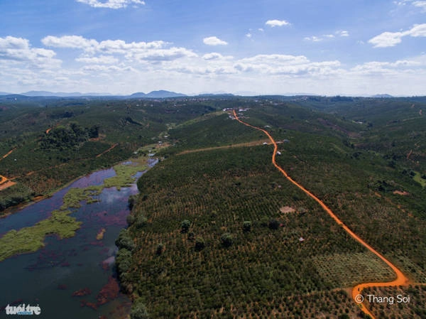 Một con đường đất len lỏi giữa một rãy cà phê bạt ngàn ở Di Linh, Lâm Đồng - Ảnh Lê Thế Thắng Một con đường đất len lỏi giữa một rãy cà phê bạt ngàn ở Di Linh, Lâm Đồng - Ảnh Lê Thế Thắng