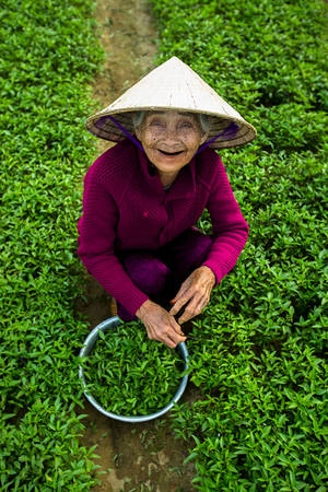 “Tôi luôn bị ấn tượng bởi vẻ đẹp và tinh thần của người phụ nữ Việt Nam. Họ luôn làm việc chăm chỉ và cật lực tại bất cứ đâu, trong bất kỳ hoàn cảnh nào. Tôi muốn tôn vinh những phẩm chất quý giá đó qua các bức ảnh về người phụ nữ Việt được chụp trên khắp mọi miền đất nước”, Réhahn chia sẻ sau hơn 4 năm sinh sống và làm việc tại Hội An. “Tôi luôn bị ấn tượng bởi vẻ đẹp và tinh thần của người phụ nữ Việt Nam. Họ luôn làm việc chăm chỉ và cật lực tại bất cứ đâu, trong bất kỳ hoàn cảnh nào. Tôi muốn tôn vinh những phẩm chất quý giá đó qua các bức ảnh về người phụ nữ Việt được chụp trên khắp mọi miền đất nước”, Réhahn chia sẻ sau hơn 4 năm sinh sống và làm việc tại Hội An.