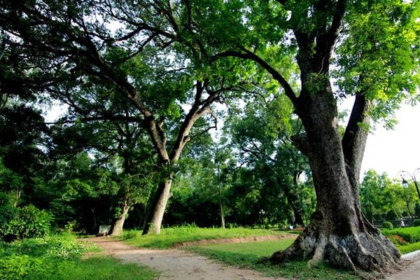 Tại đây, du khách có thể chiêm ngưỡng toàn thể khu thành cổ Sơn Tây và gom vào tầm mắt thiên nhiên xanh mát của những bờ cỏ xanh tươi, những hàng cây cơm nguội thay lá mới vào mùa xuân, hoa gạo của tháng 3, phượng đỏ rực một góc trời vào mùa hè, hay sắc vàng của những hàng bồ kết dại vào mùa đông…