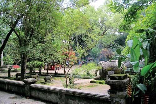 Cây xanh phủ bóng mát lên khu di tích xưa