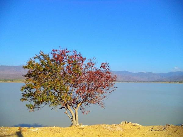 Rời xa biển, đi sâu vào nội địa, du khách có thể tham quan hồ Đá Bạc. Đây là một trong những hồ thủy lợi lớn nhất tỉnh Bình Thuận cung cấp nước tưới tiêu và sinh hoạt cho 3 xã Vĩnh Tân, Vĩnh Hảo và Hòa Minh.
