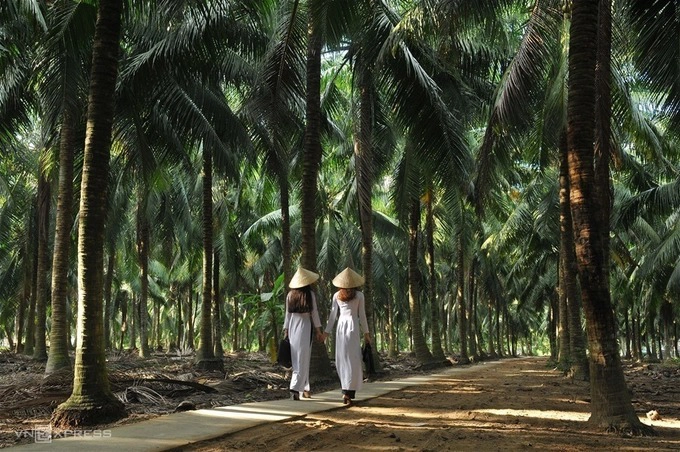 Bức ảnh đồng giải ba có tên "Đôi bạn đến trường" của tác giả Nguyễn Văn Hoàn (Bến Tre). “Bộ ảnh đoạt giải là bức tranh toàn cảnh về đời sống văn hóa xã hội, thế mạnh kinh tế của tỉnh Bến Tre, nhất là những sản phẩm từ cây và trái dừa. Các bức ảnh đã thể hiện nét đẹp nghề truyền thống, hoạt động lễ hội cũng như cuộc sống đời thường của đất và người Bến Tre hiền hoà, mến khách”, ông Lý Hoàng Long, Chủ tịch Hội đồng Nghệ thuật Hội Nghệ sĩ nhiếp ảnh Việt Nam, đồng thời là Chủ tịch hội đồng giám khảo cuộc thi, chia sẻ.