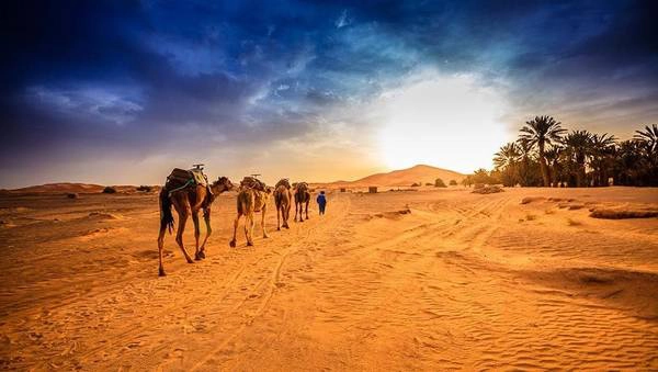 Sahara là sa mạc lớn nhất thế giới, với diện tích lên tới 9,4 triệu km2. Cảnh quan của Sahara là cồn cát, cao nguyên đá, thung lũng khô. Rất nhiều du khách đến Sahara để cưỡi lạc đà, cắm trại qua đêm và ngắm bầu trời sao. Ảnh: AP.