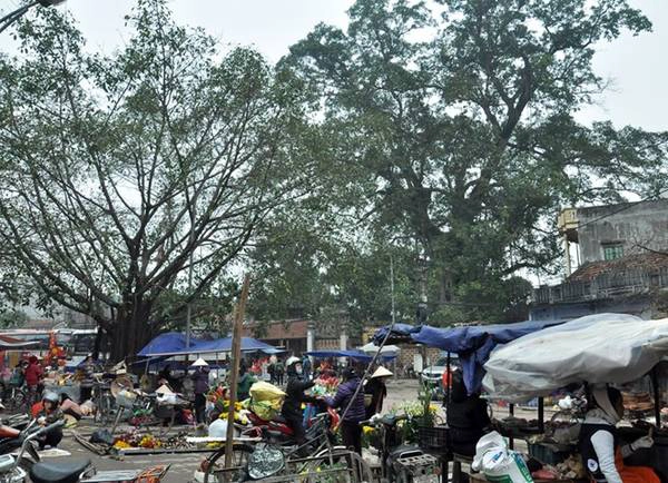 Phiên chợ quê được họp ngay cổng chùa Mía. Phiên chợ quê được họp ngay cổng chùa Mía.