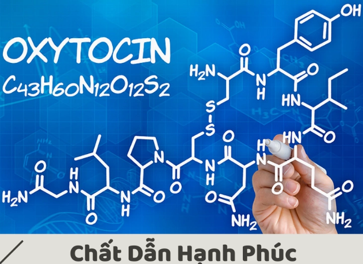 Oxytocin