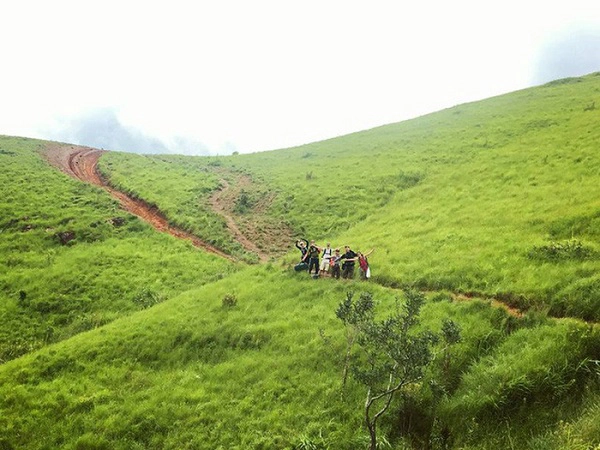 Một nhóm bạn trẻ trekking vào mùa cỏ xanh vào cuối tuần. Ảnh: NVCC Một nhóm bạn trẻ trekking vào mùa cỏ xanh vào cuối tuần. Ảnh: NVCC