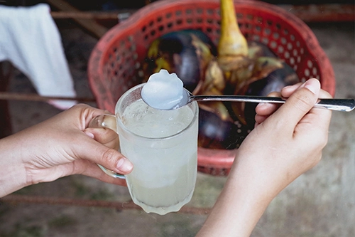 Nước thốt nốt ngon hơn khi cho thêm đá. Ảnh: Phong Vinh. Nước thốt nốt ngon hơn khi cho thêm đá. Ảnh: Phong Vinh.