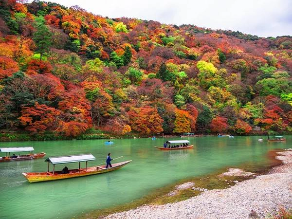 Du khách có thể đi thuyền dọc sông Oi tới khu Arashiyama để ngắm nhìn cây cối chuyển màu. Du khách có thể đi thuyền dọc sông Oi tới khu Arashiyama để ngắm nhìn cây cối chuyển màu.