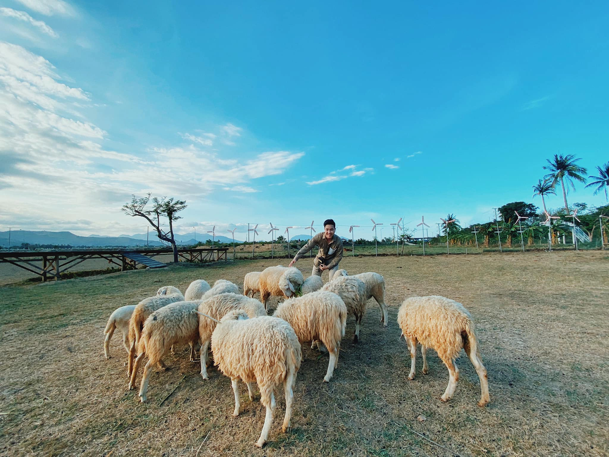 cham-ngo-thien-duong-dao-binh-hung-voi-5-toa-do-check-in-thu-hut-8