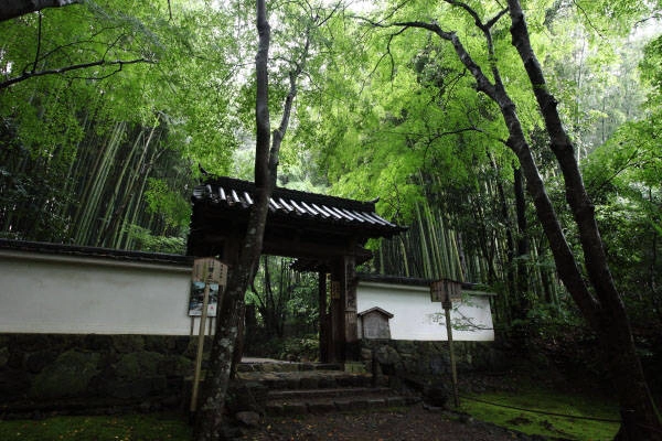 Đền thờ Jizo ở Kyoto cũng gây ấn tượng bởi khung cảnh thiên nhiên tuyệt đẹp