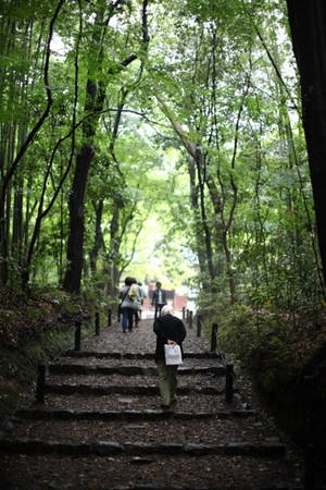 Thiên nhiên quanh những ngôi đền cổ ở Kyoto