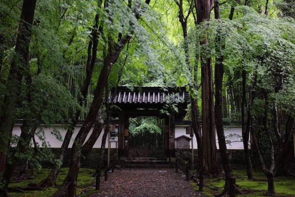 Thiên nhiên quanh những ngôi đền cổ ở Kyoto