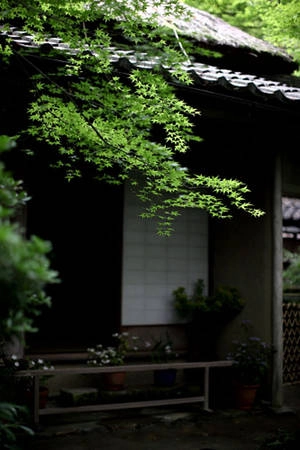 Đền thờ Gio-ji (Kyoto) của giáo phái Shingon được xây dựng bởi Nembutsubo Tyochin. Đây cũng là nơi lưu giữ và thờ tượng Phật Dainichi, người tượng trưng cho sự hợp nhất với vũ trụ.