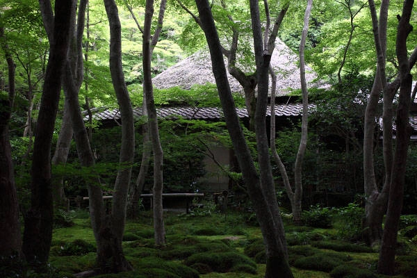 Đền thờ Gio-ji (Kyoto) của giáo phái Shingon được xây dựng bởi Nembutsubo Tyochin. Đây cũng là nơi lưu giữ và thờ tượng Phật Dainichi, người tượng trưng cho sự hợp nhất với vũ trụ.