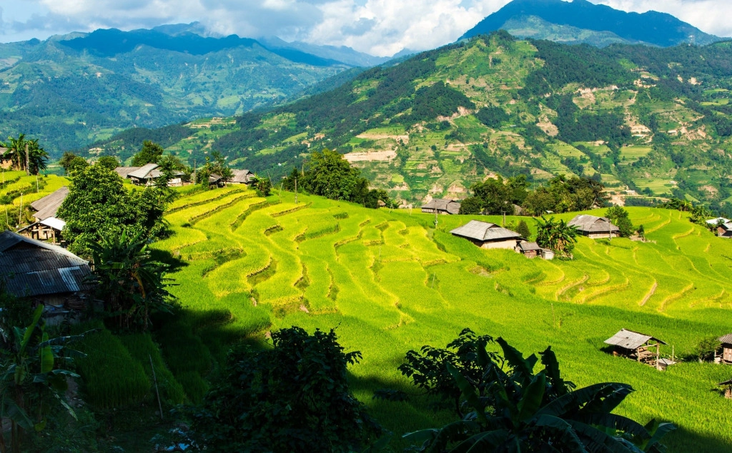 Hoàng Su Phì với những thửa ruộng bậc thang đẹp say lòng là điểm săn lúa chín nổi tiếng nhất Hà Giang. Đường đến Hoàng Su Phì không hề đơn giản, bạn sẽ phải vượt qua con đèo Mã Pì Lèng ngoạn mục nhất Việt Nam. Bù lại, bạn chắc chắn hài lòng với cảnh sắc ấn tượng và trải nghiệm mãn nhãn tại nơi đây. Ảnh: Hồng Lĩnh. Hoàng Su Phì với những thửa ruộng bậc thang đẹp say lòng là điểm săn lúa chín nổi tiếng nhất Hà Giang. Đường đến Hoàng Su Phì không hề đơn giản, bạn sẽ phải vượt qua con đèo Mã Pì Lèng ngoạn mục nhất Việt Nam. Bù lại, bạn chắc chắn hài lòng với cảnh sắc ấn tượng và trải nghiệm mãn nhãn tại nơi đây. Ảnh: Hồng Lĩnh.