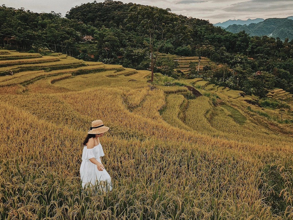 Ảnh: Hoàng Minh Thương. Ảnh: Hoàng Minh Thương.