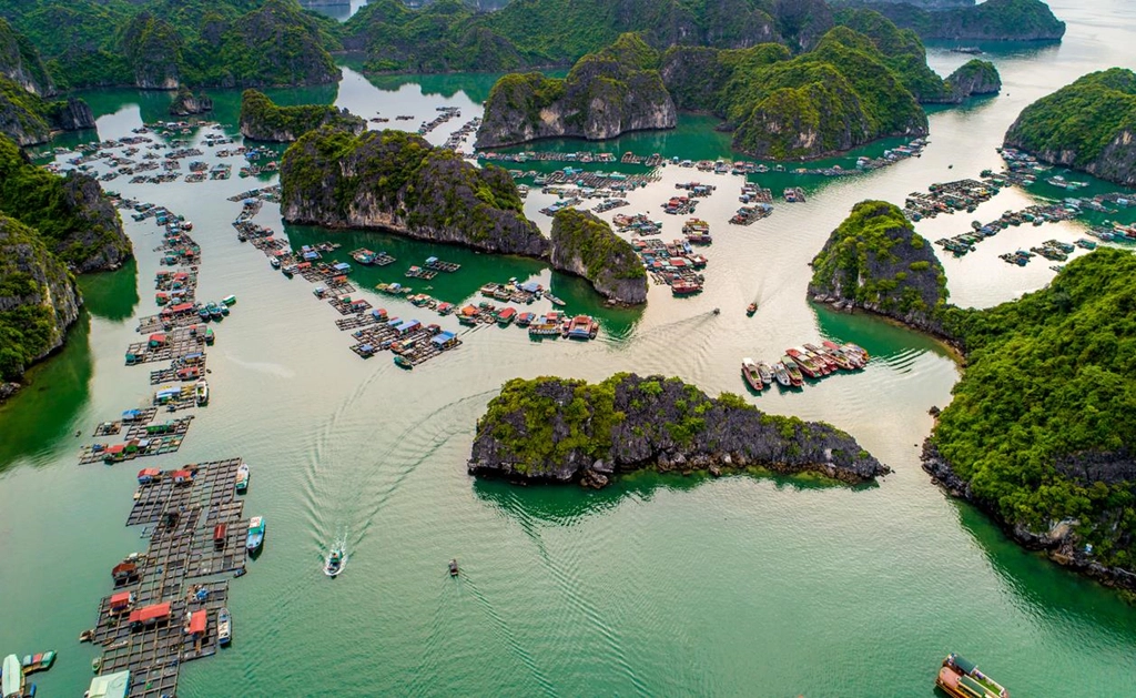 Vào những ngày cuối tuần, Cát Bà đón lượng khách khổng lồ từ các khu vực lân cận. Được cấu tạo bởi những dãy núi đá vôi liên tiếp, từ trên cao nhìn xuống, Cát Bà hiện lên vẻ kỳ vĩ, mê đắm lòng người bởi khung cảnh tràn ngập sắc xanh của núi và biển. Hàng trăm dáng núi hình dáng kỳ dị nối liền, đan xen những hang động đầy huyền bí. Tất cả dưới lăng kính máy ảnh đã tạo nên một Cát Bà tuyệt đẹp. Ảnh: Trần Quý.