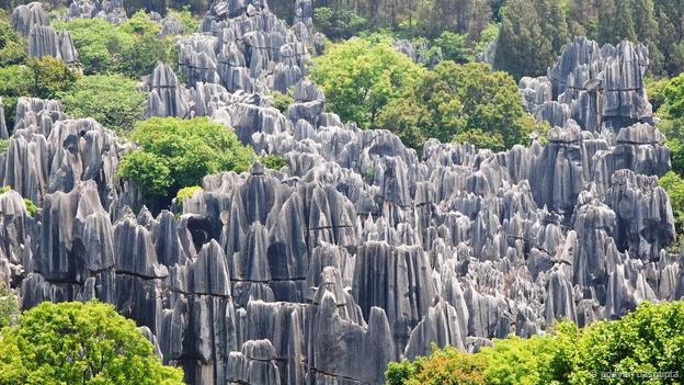 <strong>Rừng đá, Trung Quốc: </strong>Những cột đá vôi nhọn hoát cao hơn 10 m, mọc san sát nhau tạo thành cảnh quan hùng vĩ như một rừng đá. Chúng được hình thành cách đây 270 triệu năm khi nó còn là một vùng biển nông. Đá sa thạch và đá vôi tích tụ lâu năm trong một vùng trũng và bị đẩy trồi lên trong không khí. Sau đó, qua quá trình tác động của nước, gió tạo đã tạo nên những khối đá ngoạn mục này. Ngày nay rừng đá này được UNESCO công nhận là di sản thiên nhiên thế giới.
