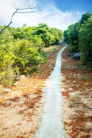 Trước đây, con đường độc đạo đi lên hải đăng Hòn Lớn chỉ là đường đất, rất khó đi. Nơi này đã được các công nhân trạm hải đăng Hòn Lớn “bê tông hóa”. Đường nhỏ, nhưng cũng đủ cho xe máy di chuyển dễ dàng, vận chuyển hàng hóa và nước ngọt lên hải đăng. Trước đây, con đường độc đạo đi lên hải đăng Hòn Lớn chỉ là đường đất, rất khó đi. Nơi này đã được các công nhân trạm hải đăng Hòn Lớn “bê tông hóa”. Đường nhỏ, nhưng cũng đủ cho xe máy di chuyển dễ dàng, vận chuyển hàng hóa và nước ngọt lên hải đăng.