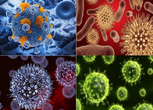 Virus