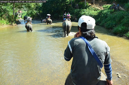 voi-massage-du-khach-o-chiang-mai-ivivu-10