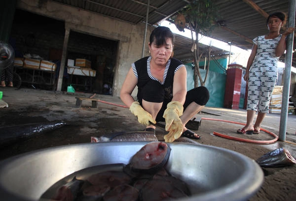 Cá thu thường có trọng lượng từ 8 đén 20 kg mới ngon, tùy nhu cầu cá thu để tươi hay nướng. Cá thu Cửa Lò có giá 160.000 đến 200.000 đồng/kg. Cá nướng thường với mục đích để giữ cá được tươi ngon, không ươn, dùng để sử dụng lâu dài. Cá thu nướng ăn tại chỗ để phục vụ khách du lịch. Nhiều du khách khi đến các gia đình ngư dân ở khối Hải Giang 2, phường Nghi Hải của biển Cửa Lò có thể tự tay chọn cá thu tươi nguyên và đặt các hộ dân nướng, để được tận mắt chứng kiến từ đầu đến cuối quy trình. Cá thu thường có trọng lượng từ 8 đén 20 kg mới ngon, tùy nhu cầu cá thu để tươi hay nướng. Cá thu Cửa Lò có giá 160.000 đến 200.000 đồng/kg. Cá nướng thường với mục đích để giữ cá được tươi ngon, không ươn, dùng để sử dụng lâu dài. Cá thu nướng ăn tại chỗ để phục vụ khách du lịch. Nhiều du khách khi đến các gia đình ngư dân ở khối Hải Giang 2, phường Nghi Hải của biển Cửa Lò có thể tự tay chọn cá thu tươi nguyên và đặt các hộ dân nướng, để được tận mắt chứng kiến từ đầu đến cuối quy trình.