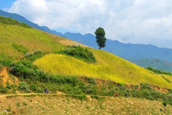 Nằm cách trung tâm thành phố Sơn La 70 km về hướng Đông, một mặt giáp với tỉnh Yên Bái, Chiềng Ân là xã thuộc huyện Mường La với diện tích 85,33 km2, có mật độ dân số thưa thớt. Nằm cách trung tâm thành phố Sơn La 70 km về hướng Đông, một mặt giáp với tỉnh Yên Bái, Chiềng Ân là xã thuộc huyện Mường La với diện tích 85,33 km2, có mật độ dân số thưa thớt.