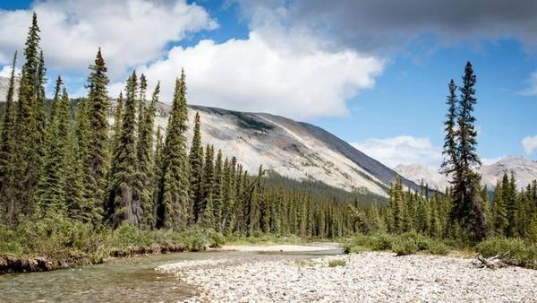 Nói tới Yukon, người ta nhớ đến ''Cơn sốt vàng Klondike'' khi hàng trăm nghìn phụ nữ và đàn ông đổ tới những ngọn núi ở Yukon, Canada vào cuối thế kỷ 19 để tìm vận may. Ngày nay, người ta vẫn tới Yukon nhưng với nhiều lý do khác so với cách đây 100 năm. Nhiều người tới vì lịch sử, họ tìm về những câu chuyện liên quan tới cơn sốt vàng. Số khác tới tham quan các vùng núi, khám phá thế giới tự nhiên và các loài động vật hoang dã như gấu, nai sừng tấm, linh miêu, dê núi, cáo, bò xạ hương, sóc đất marmot...
