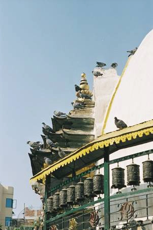 Một đàn chim bồ câu đậu trên dãy chuyển kinh luân. Người theo Phật giáo Tây Tạng quan niệm xoay chuyển kinh luân là cách để giải trừ nghiệp chướng. Một đàn chim bồ câu đậu trên dãy chuyển kinh luân. Người theo Phật giáo Tây Tạng quan niệm xoay chuyển kinh luân là cách để giải trừ nghiệp chướng.