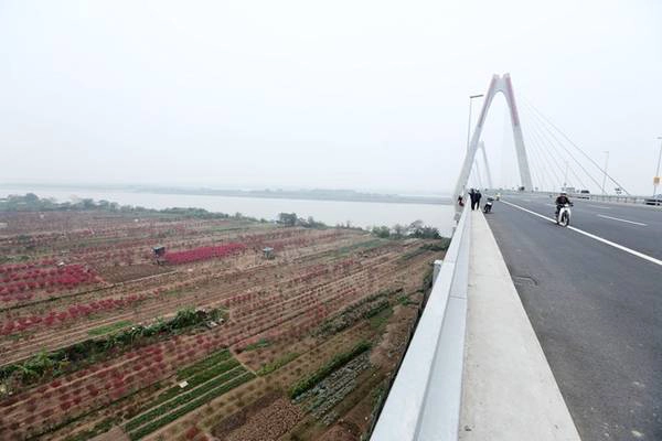 Làng đào Phú Thượng nhìn từ cầu Nhật Tân. Làng đào Phú Thượng nhìn từ cầu Nhật Tân.