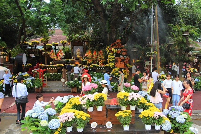 Một vườn hoa cẩm tú cầu được Bảo tàng thêu XQ tạo nên ở cuối đường Phạm Hồng Thái, trung tâm Thành phố Huế đã thu hút sự chú ý của người dân và du khách đến tham quan Huế nhân dịp Festival lần thứ X. Một vườn hoa cẩm tú cầu được Bảo tàng thêu XQ tạo nên ở cuối đường Phạm Hồng Thái, trung tâm Thành phố Huế đã thu hút sự chú ý của người dân và du khách đến tham quan Huế nhân dịp Festival lần thứ X.